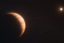 A Jupiter-size planet that escaped its star's death