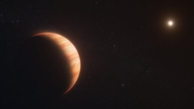 A Jupiter-size planet that escaped its star's death