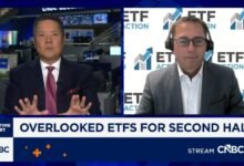 Mag 7 and software could boost portfolio in second half: ETF Action