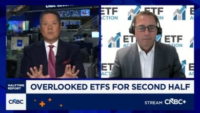 Mag 7 and software could boost portfolio in second half: ETF Action